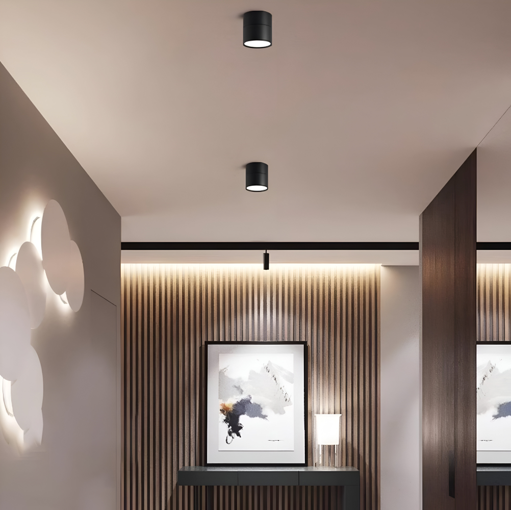 Regulowana lampa sufitowa LED spot aluminiowa