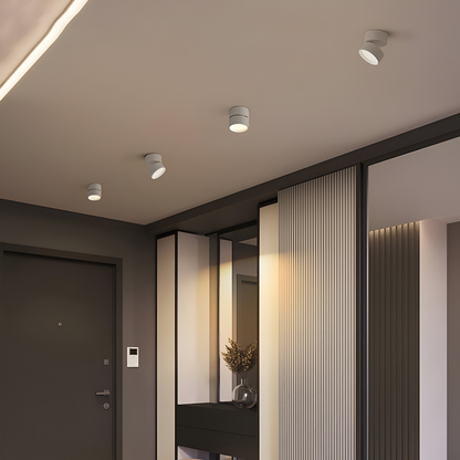 Regulowana lampa sufitowa LED spot aluminiowa