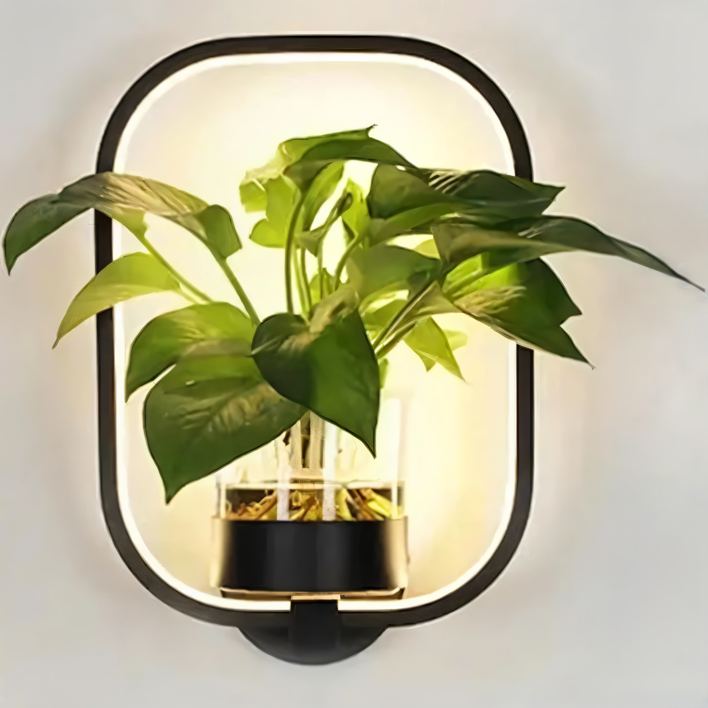 Lampa ścienna LED z uchwytem na roślinę