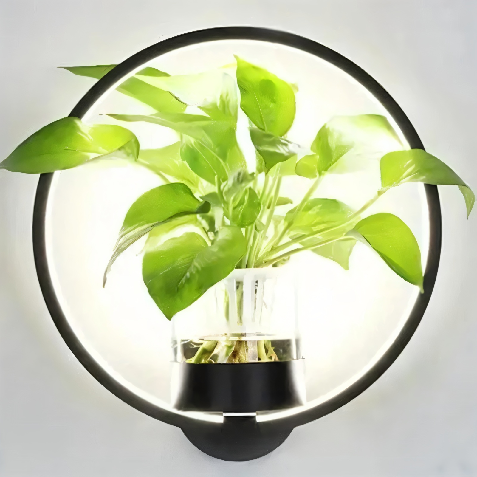 Lampa ścienna LED z uchwytem na roślinę