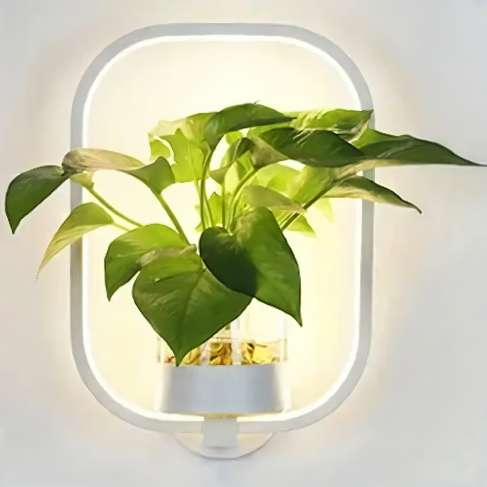 Lampa ścienna LED z uchwytem na roślinę