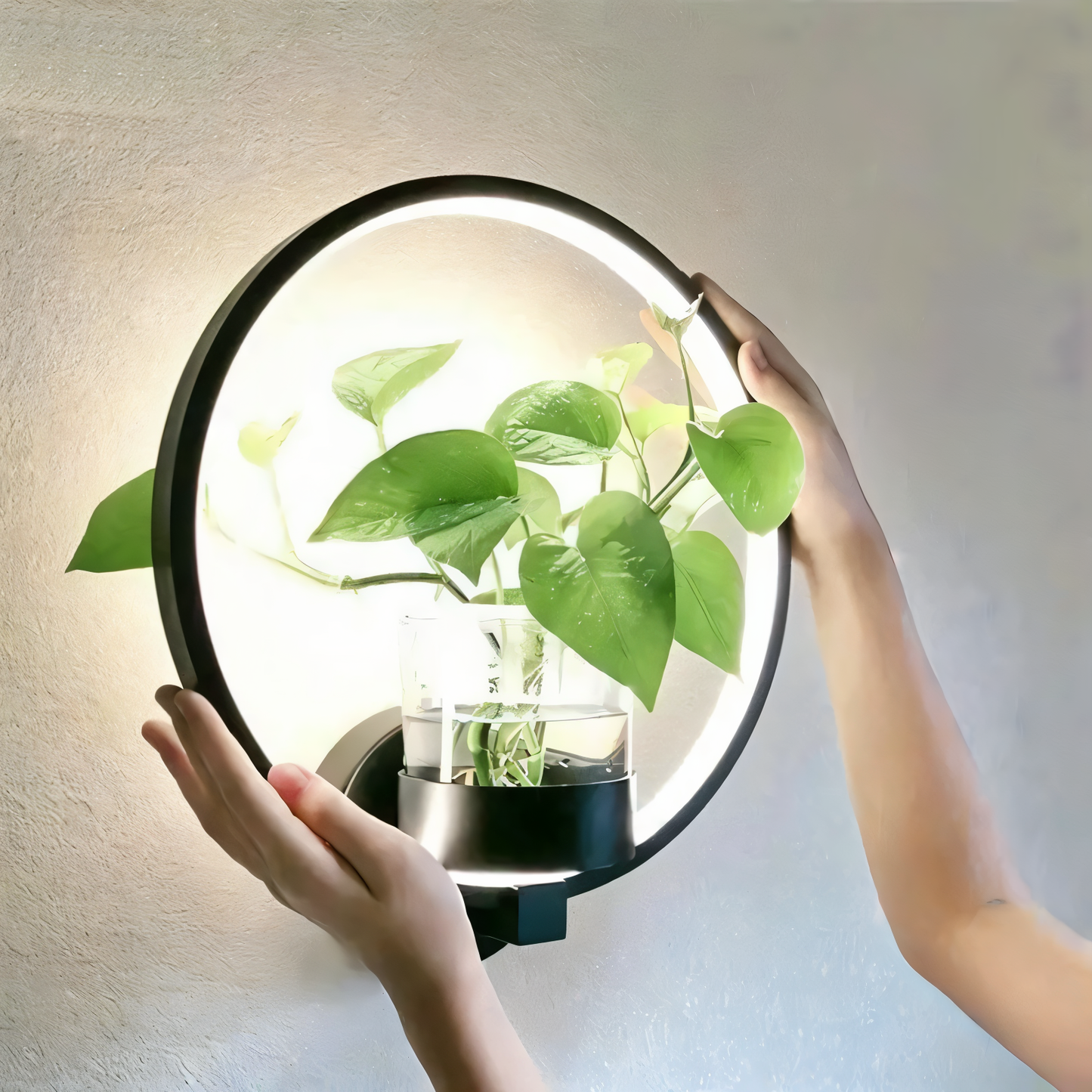 Lampa ścienna LED z uchwytem na roślinę