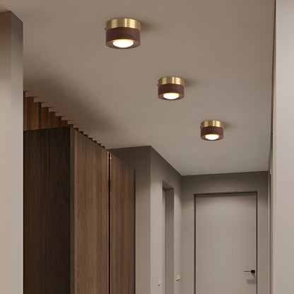 Drewniana lampa sufitowa LED punktowa orzechowa