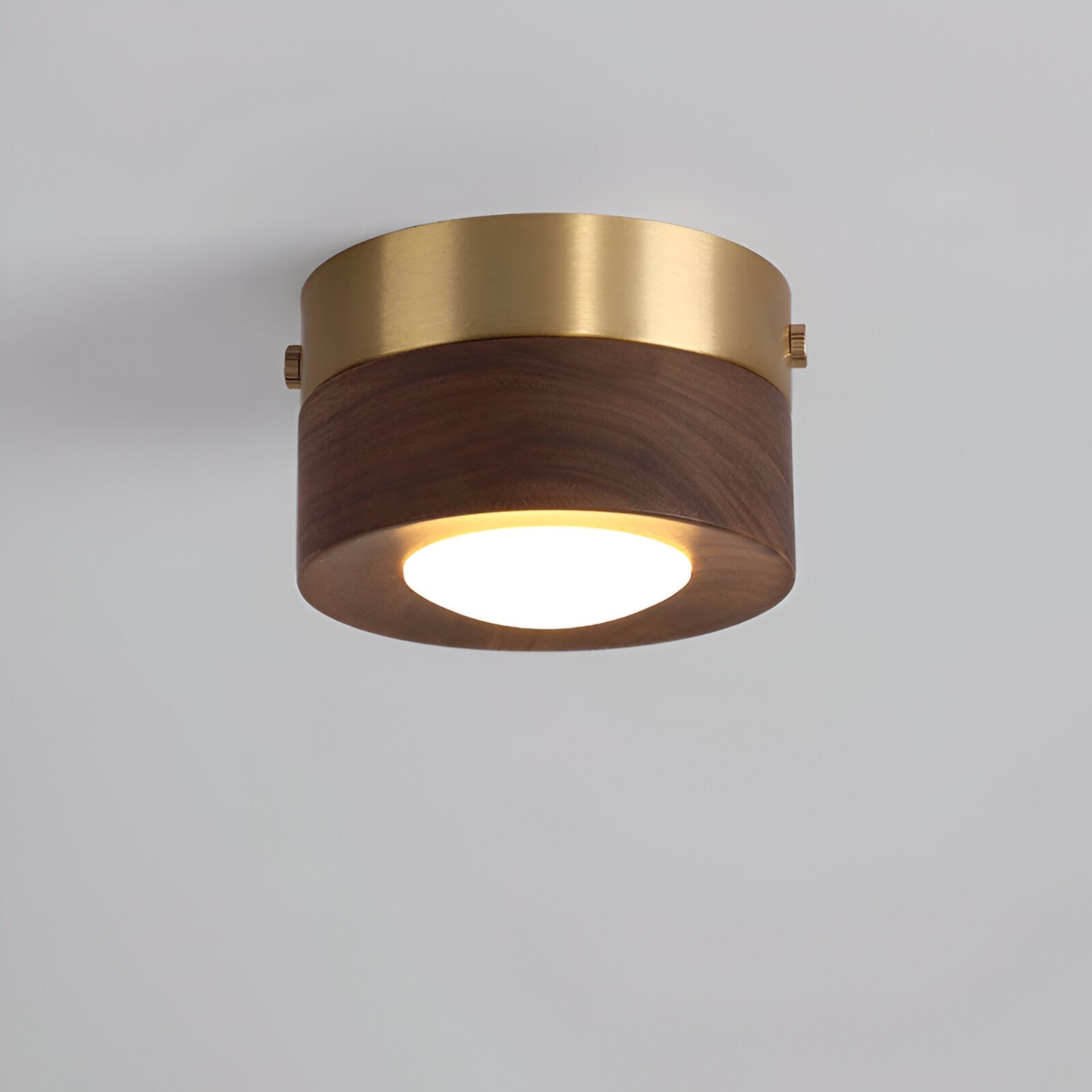 Drewniana lampa sufitowa LED punktowa orzechowa